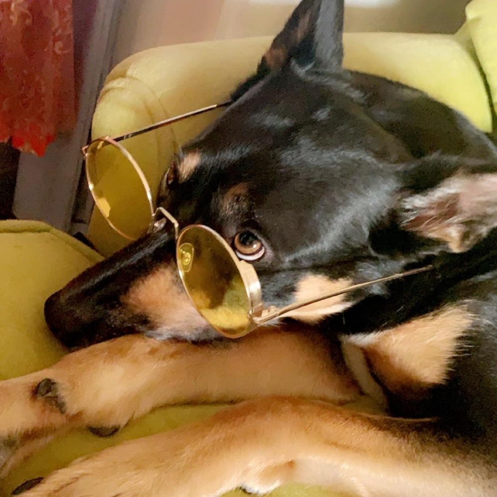 Yellow Hippie Glasses